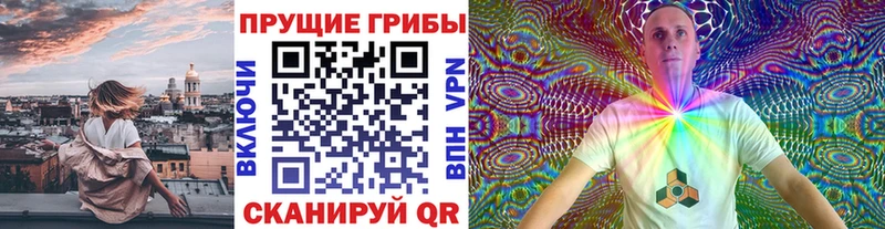 дарк нет как зайти  закладки  Туймазы  Псилоцибиновые грибы Psilocybe 