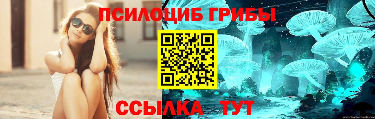 Псилоцибиновые грибы Psilocybe  Вход с VPN  Туймазы 